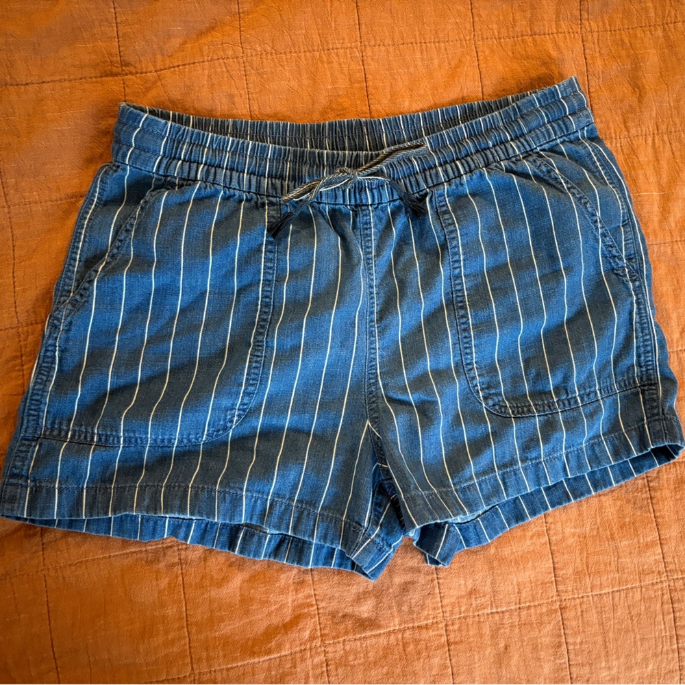 J. Crew Blue Striped Women's Shorts